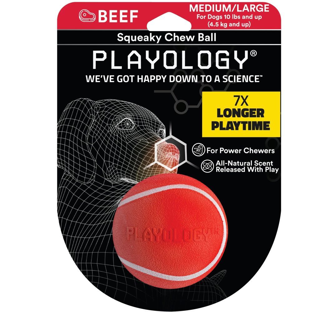 Playology Medium/Large Beef Squeaky Chew Ball