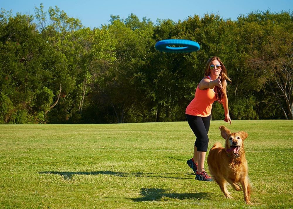 Chuckit! Rugged Flyer Dog Toy, Medium Assortment