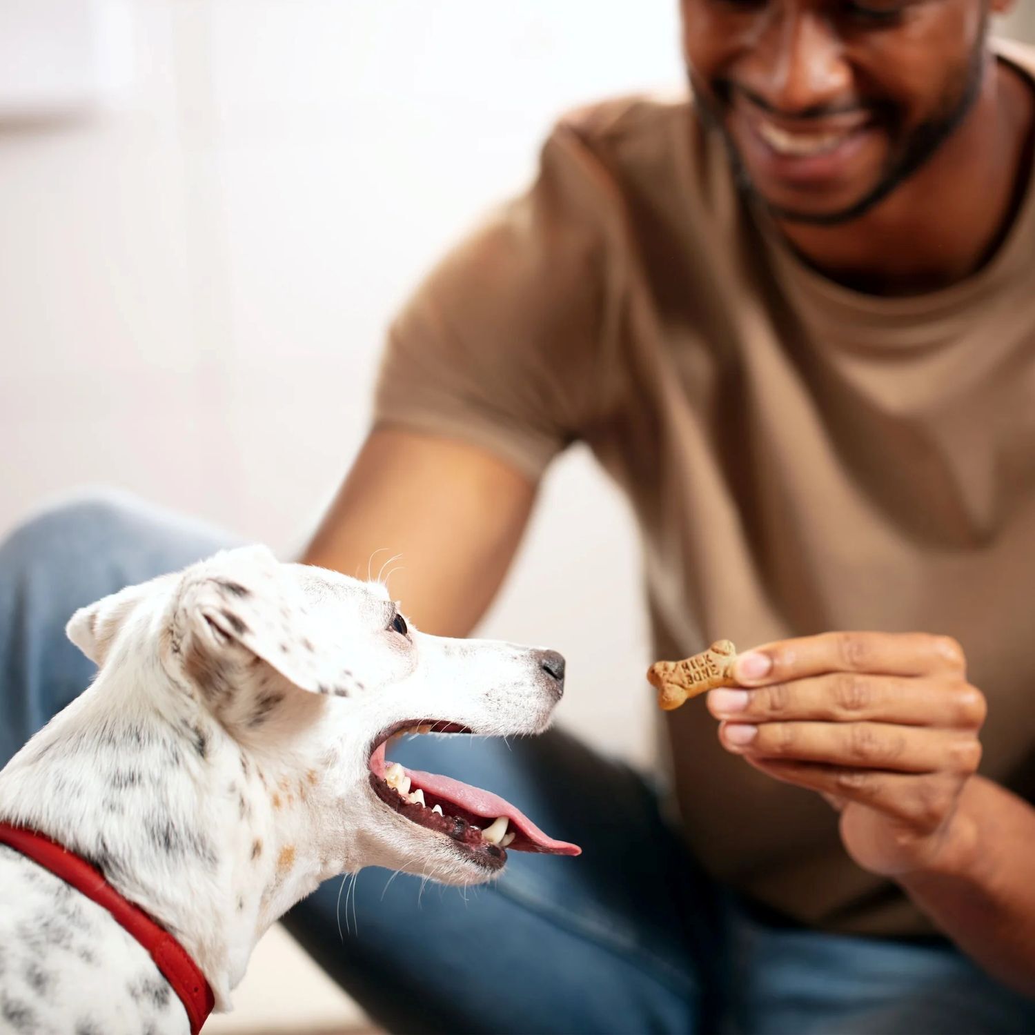Milk-Bone Flavor Snacks Mini Dog Biscuits, Flavored Crunchy Dog Treats, 36 oz