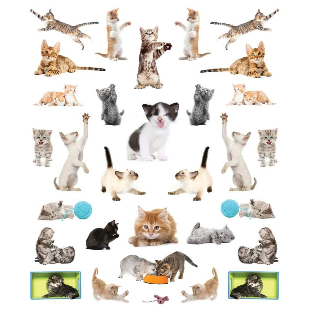 Workman Publishing Eyelike Sticker Kittens