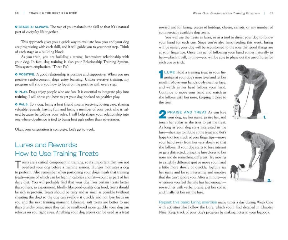 Training The Best Dog Ever: A 5-Week Program Using The Power Of Positive Reinforcement