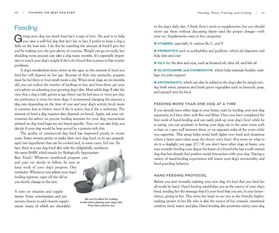 Training The Best Dog Ever: A 5-Week Program Using The Power Of Positive Reinforcement