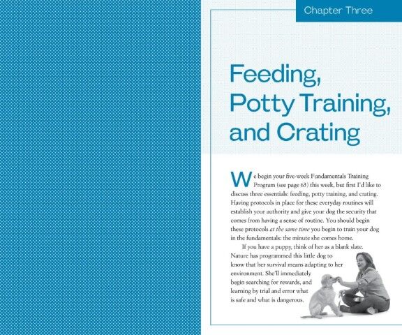 Training The Best Dog Ever: A 5-Week Program Using The Power Of Positive Reinforcement