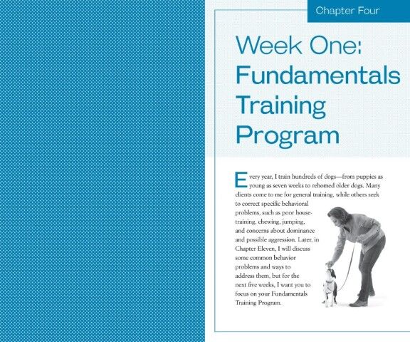 Training The Best Dog Ever: A 5-Week Program Using The Power Of Positive Reinforcement