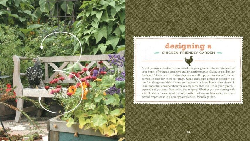 Timber Press Free-Range Chicken Gardens Paperback By Jessi Bloom