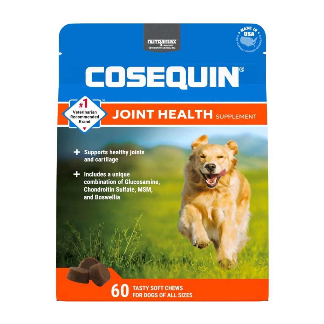 Cosequin Dog Joint Health MSM Supplement Soft Chews, 60-Ct