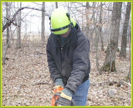 Provides Protection for Your Head, Face, and Ears While Cutting and Felling Trees