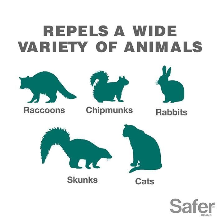 Safer Brand Critter Ridder Granual Animal OMRI Repellent, 2-Lb