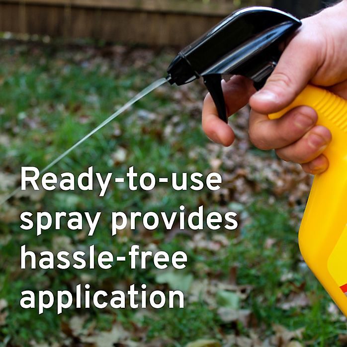 Victor Mouse and Rat Repellent Spray, 32-Oz
