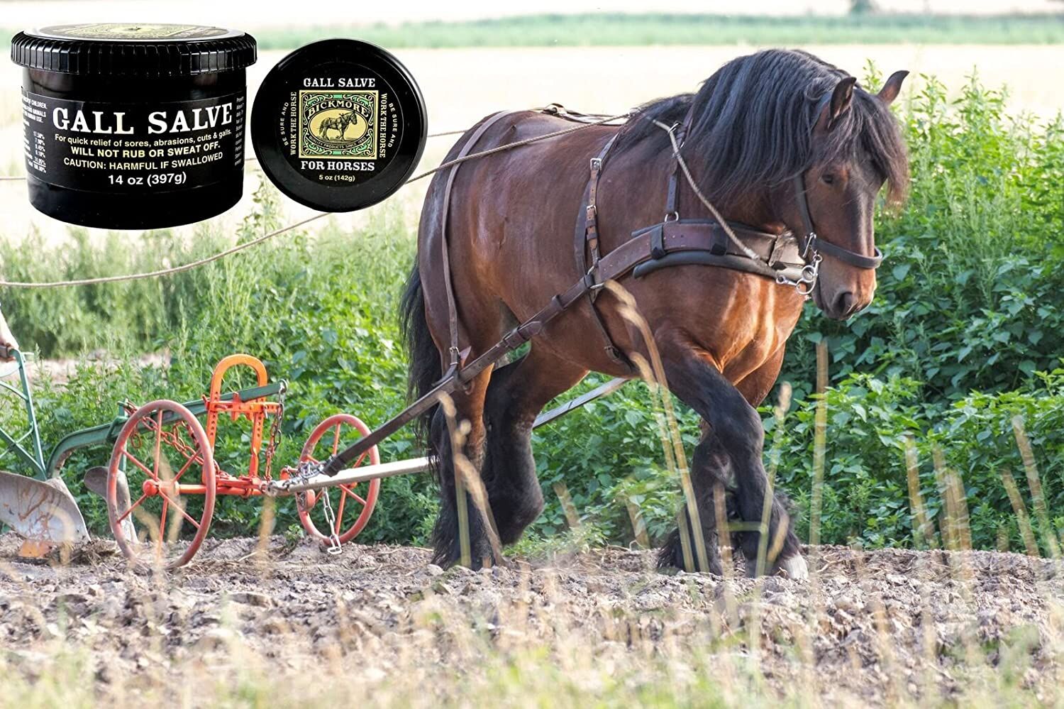 Bickmore Gall Salve For Horses, 14-Oz