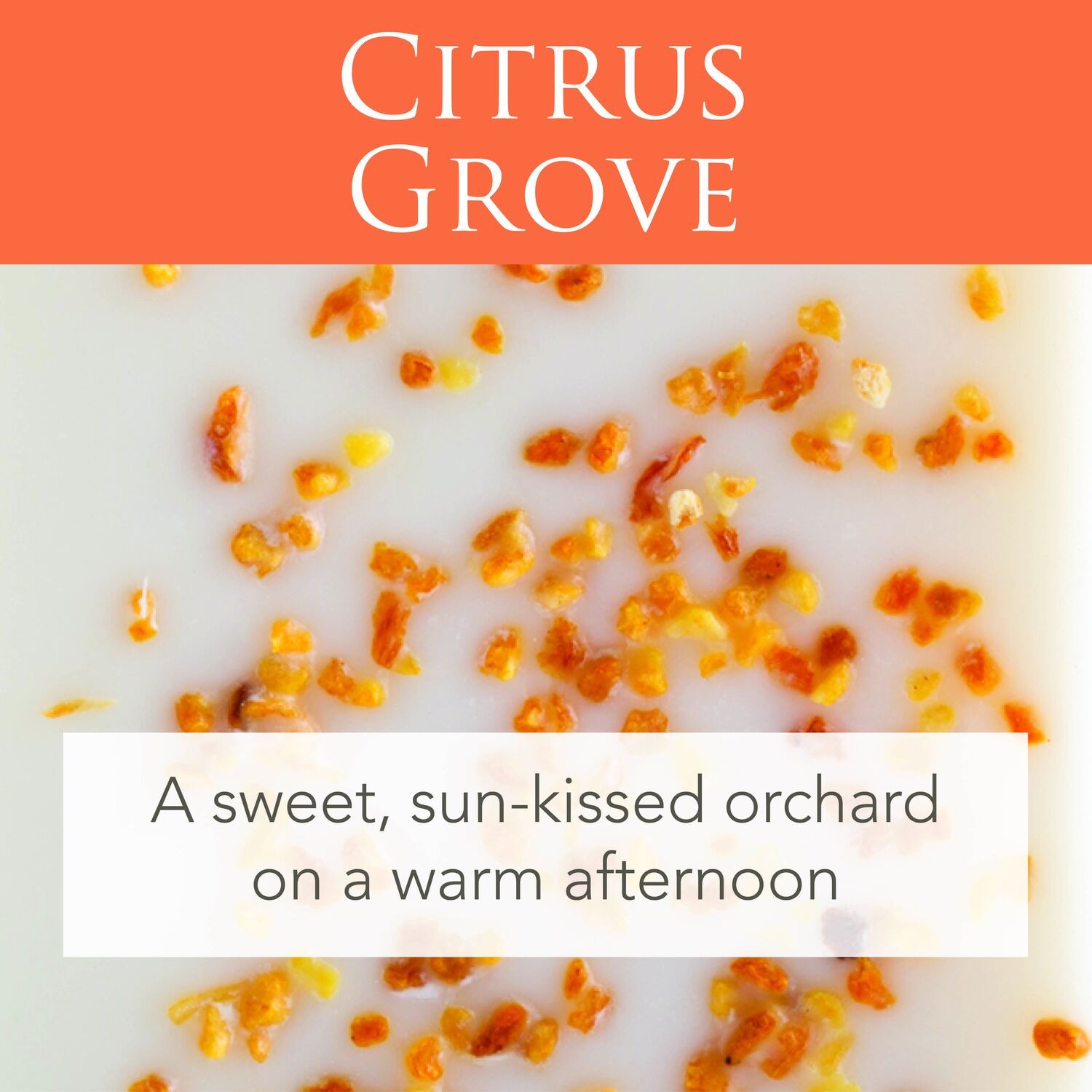 Citrus Grove 2.5 Oz Artisan Melts
