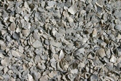 Concentrates Oyster Shell Lay Blend, 50-Lb