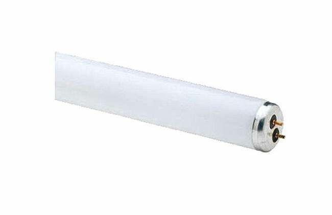 Westpointe 2 Pack 48 In. 32W T8 Linear Fluorescent Tube - White
