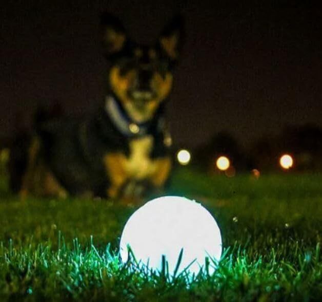 Chuckit! Medium Max Glow Balls, 2-Pk