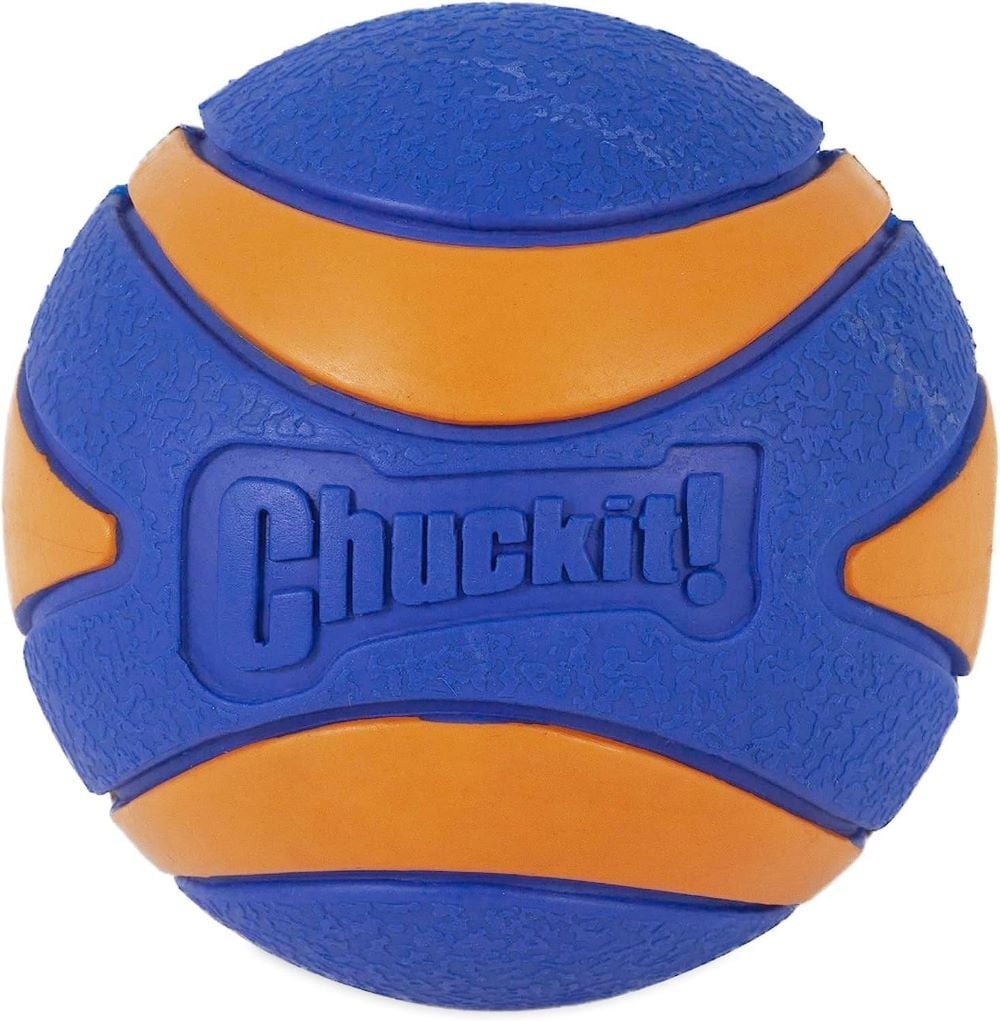 Chuckit! Ultra Squeaker Ball