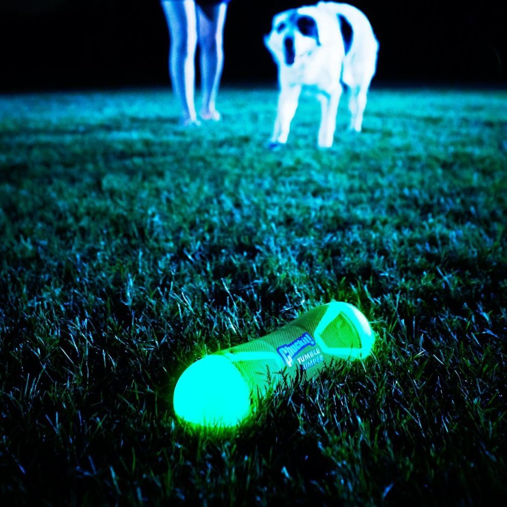 Chuckit! Medium Tumble Bumper Max Glow