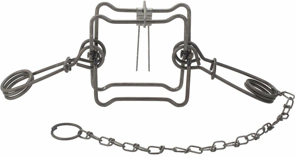 Body Trap