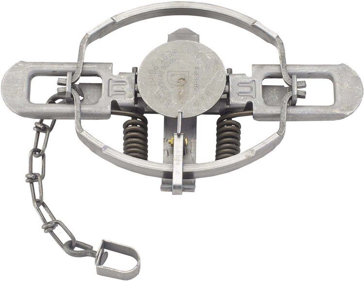 Coil Spring Trap