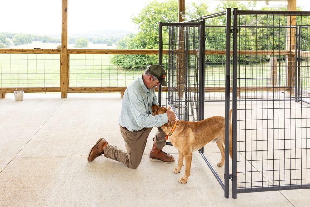 Behlen Country Gray Ruff Guard Kennel 1-Door Panel, 10-Ft x 6-Ft