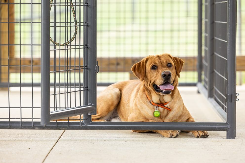 Behlen Country Gray Ruff Guard Kennel 1-Door Panel, 10-Ft x 6-Ft