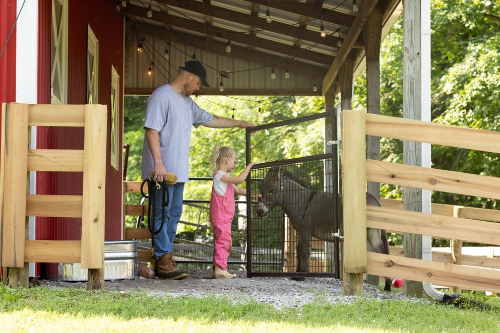 Behlen Country Green Frontier Gate, 8-Ft x 50-In