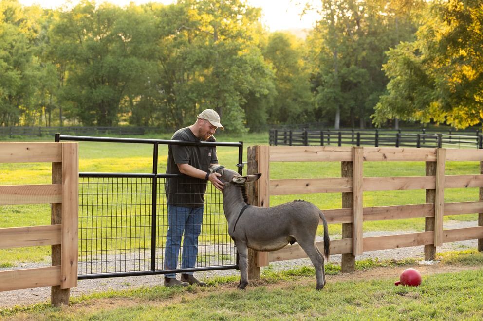 Behlen Country Gray Frontier Gate, 8-Ft x 50-In
