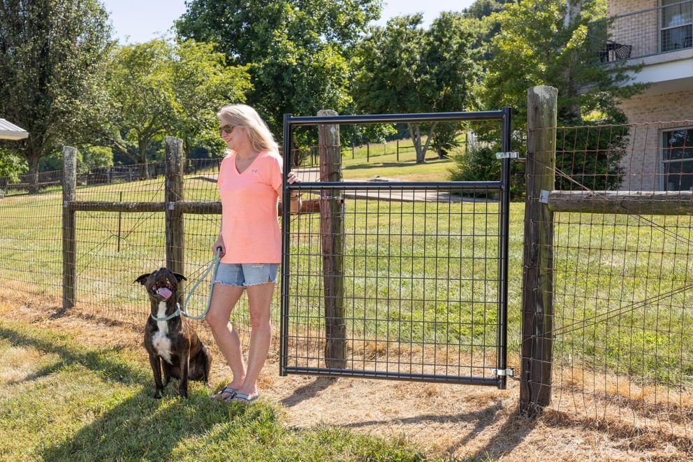 Behlen Country Green Frontier Gate, 16-Ft x 50-In