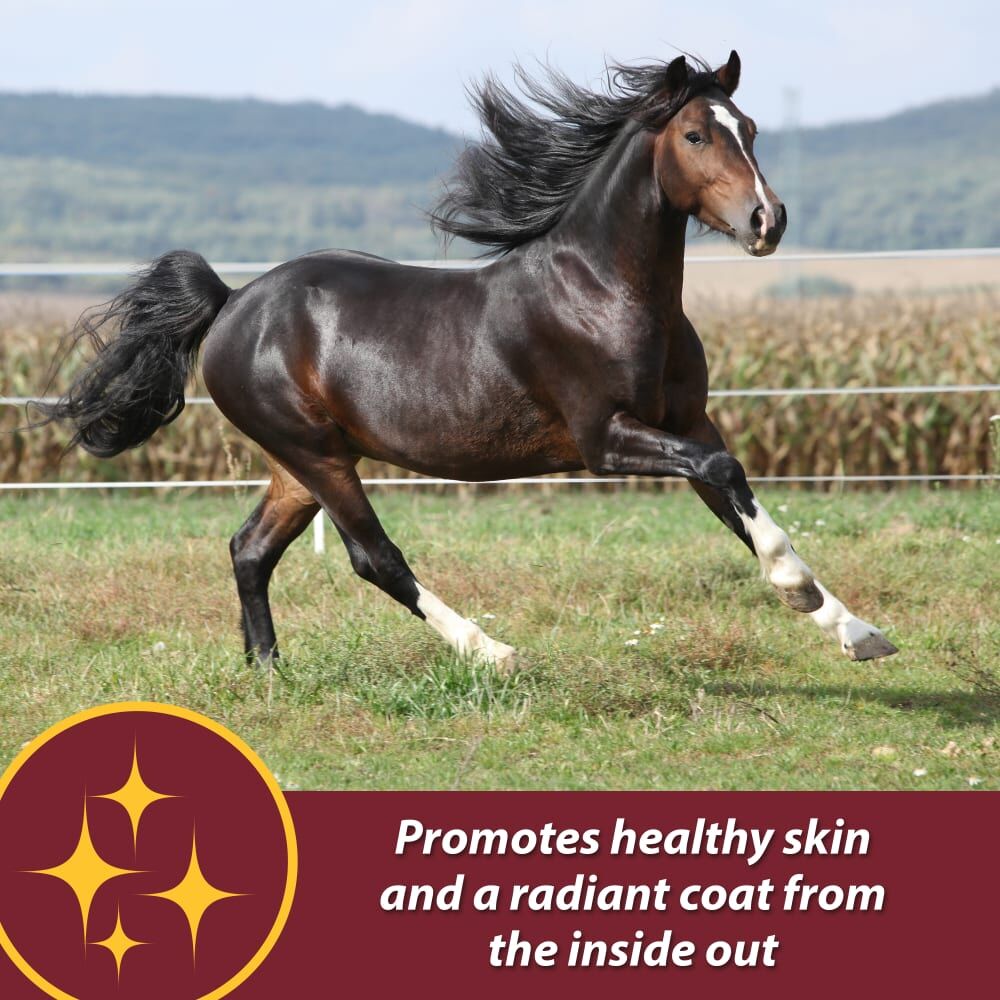 Farnam Laser Sheen Skin & Coat Supplement, 3.75-Lb