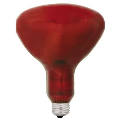 GE Incandescent Heat Lamp, Br40 Flood Light Bulb, 250-Watt, Red, 1-Pack