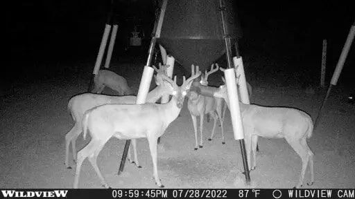 Stealth Cam Wildview 16 Digital Camera