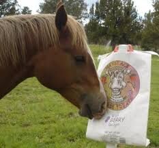 Haystack Farm & Feed Wild Berry Horse Treats, 5-Lb