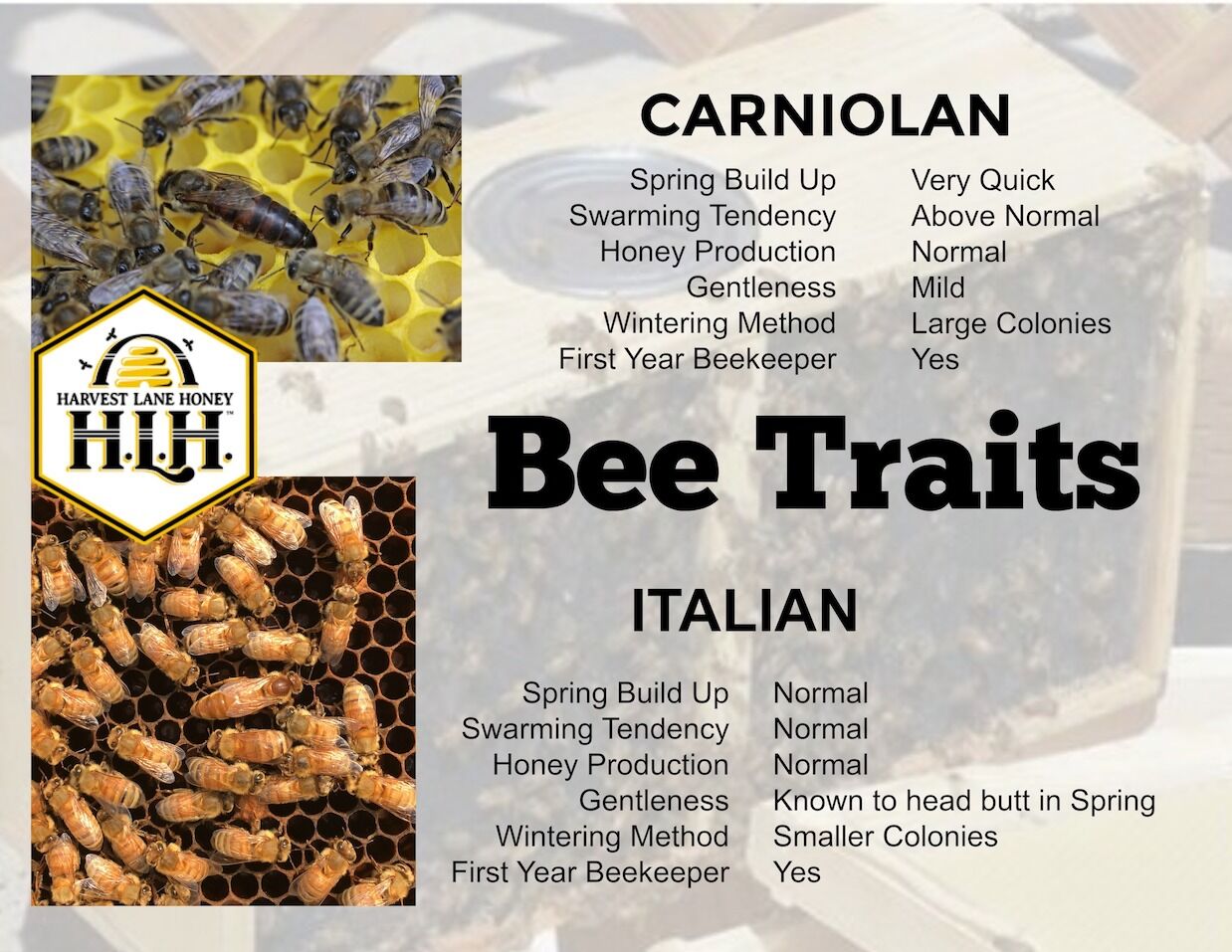 Italian Honey Bees with Queen, 3-Lb