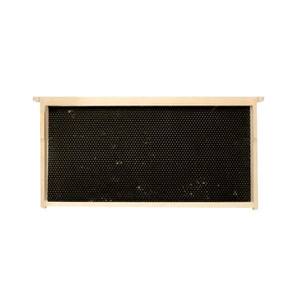 Harvest Lane Honey Deep Assembled Frame With Black Foundation, 5-Pk