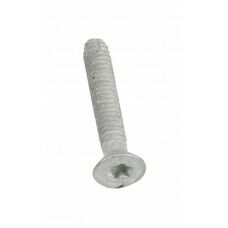 Treated Wood Screw 20Pk 1-1/2"