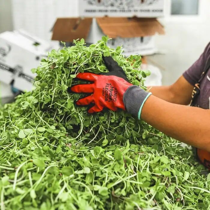 Kinco HydroFlector Waterproof Polyester Knit Shell & Double-Coated Nitrile Gloves in Red