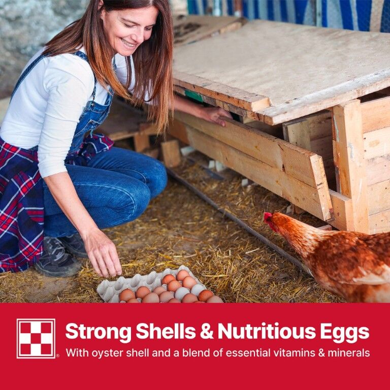 Purina Layena + Omega-3 16% Layer Hen Feed, 10-Lb