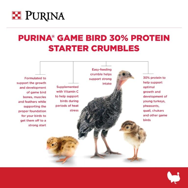 Purina Game Bird 30% Protein Starter Crumbles, 10-Lb