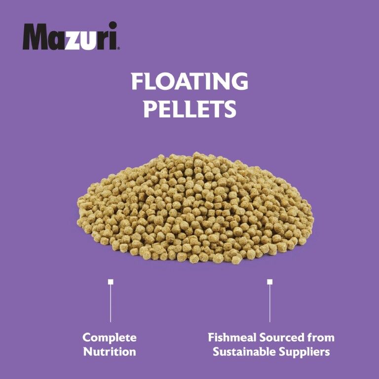 Mazuri Koi Pond Nuggets, 20-Lb