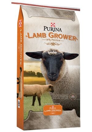 Purina Lamb Grower, 50-Lb
