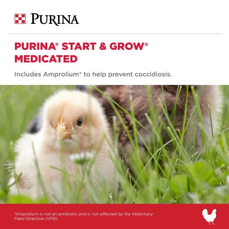 Purina Start & Grow Chick Feed Medicated, 50-Lb