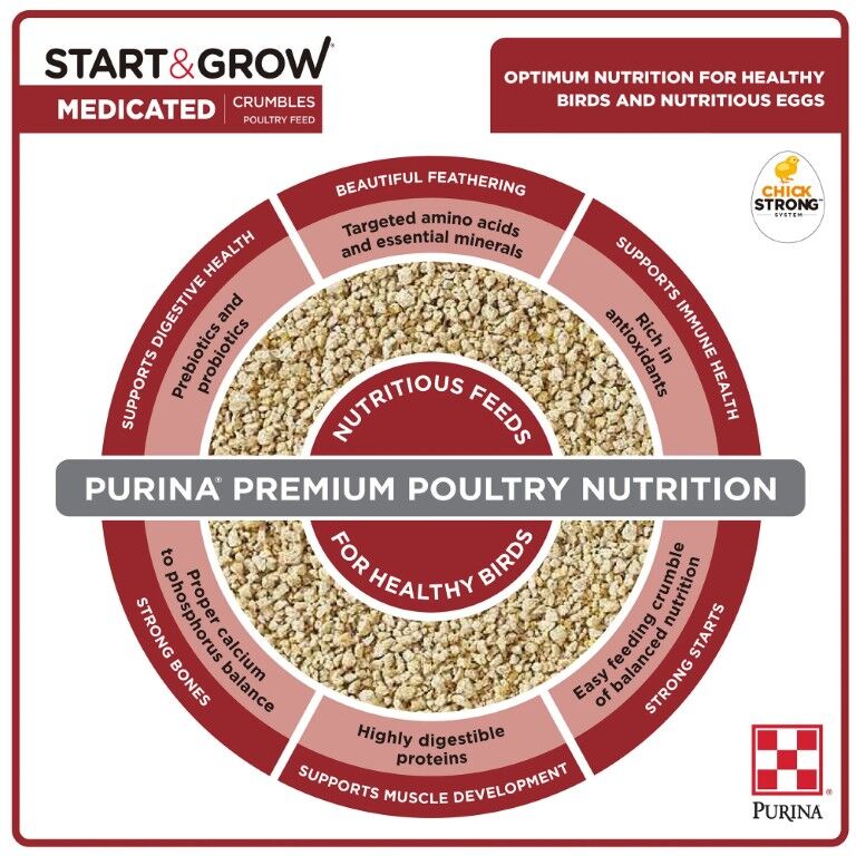 Purina Start & Grow Chick Feed Medicated, 5-Lb