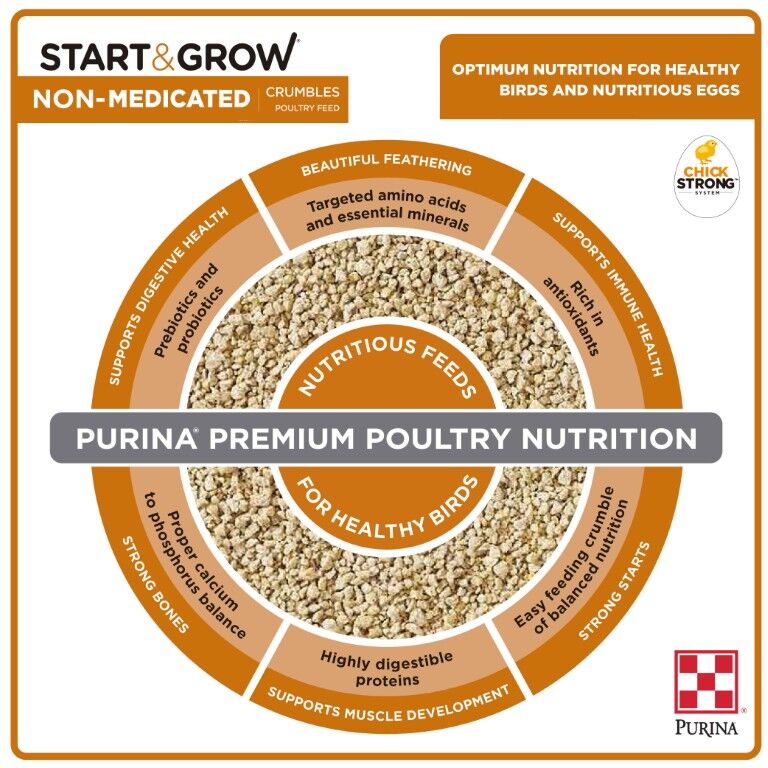 Purina Start & Grow Chick Feed Non-Medicated, 50-Lb