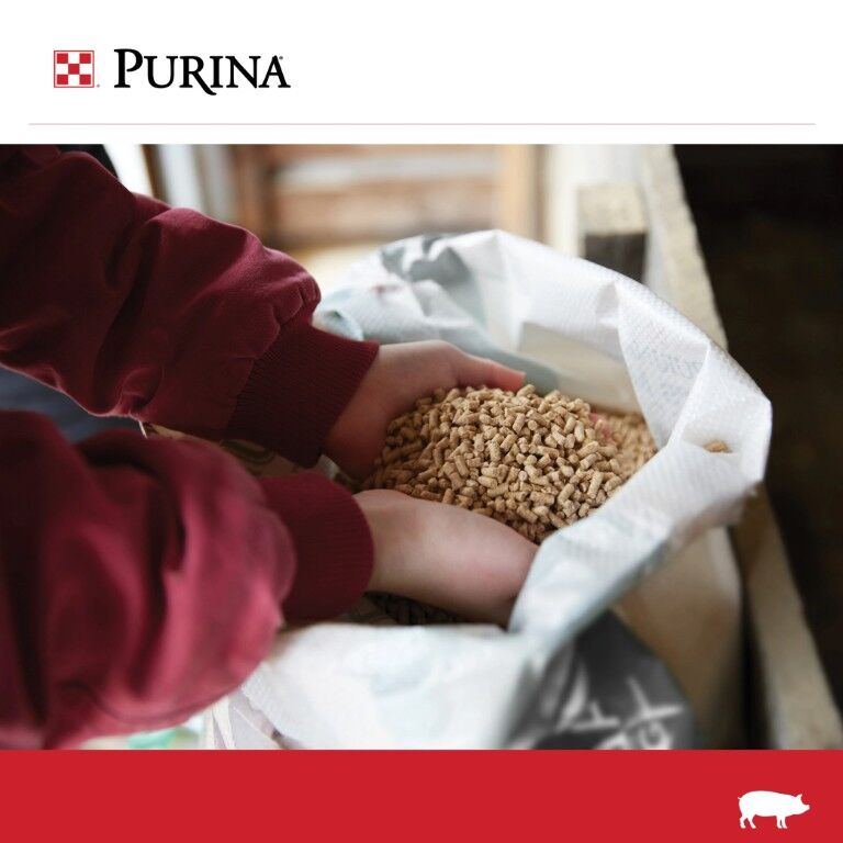 Purina Nature's Match Starter-Grower Pig Feed, 50-Lb