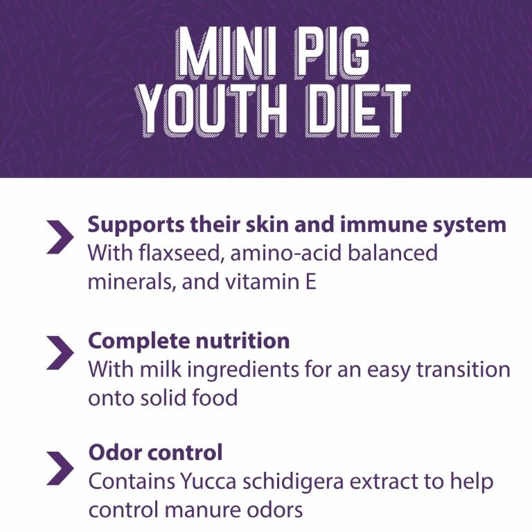 Mazuri Mini Pig Youth Feed, 25-Lb