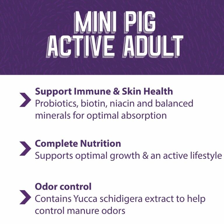 Mazuri Active Adult Mini Pig Feed, 25-Lb