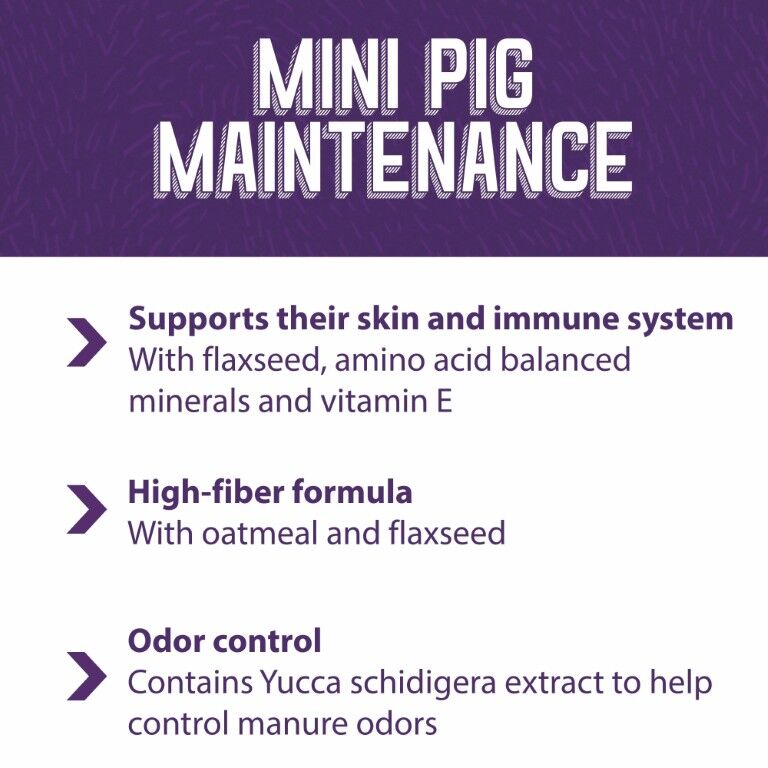 Mazuri Mini Pig Mature Maintenance Feed, 25-Lb