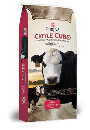 Purina High Energy 20 An Cube, 50-lb bag 