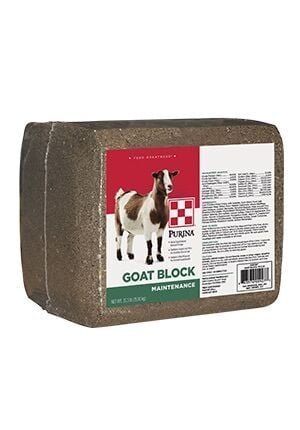 Purina Goat Block, 33.3-Lb