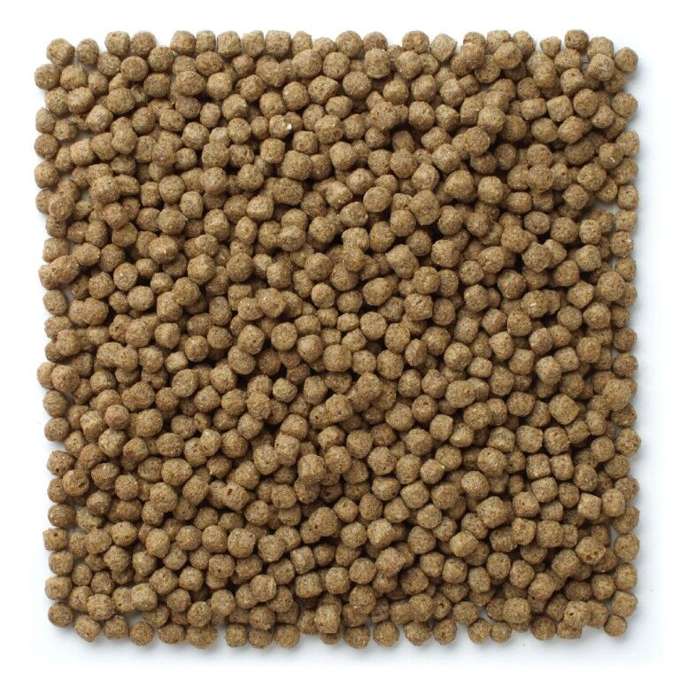 Mazuri Koi Pond Nuggets, 3.5-Lb