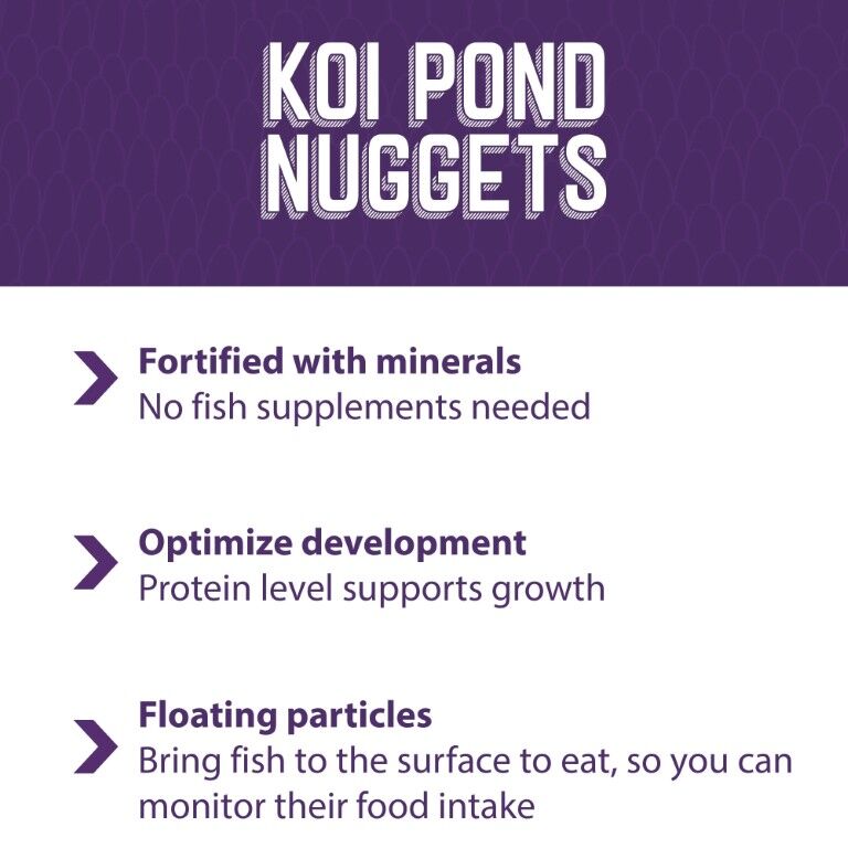 Mazuri Koi Pond Nuggets, 3.5-Lb